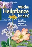 Welche Heilpflanze ist das?: &Uuml;ber 400 Heilpflanzen erkennen und anwenden - Wolfgang K. Fischer