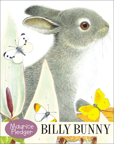 Rabbits