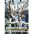 Newcastle United - End Of Season Review 2003/2004 [DVD]