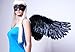 FashionWings (TM Adults' Black Wide Spread Costume Feather Angel Wings, Halo & Mask