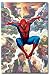 SPIDER MAN COMIC RIVALS BAD GUYS 22X34 POSTER 209011