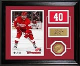 Henrik Zetterberg Detroit Red Wings Player Pride Desk Top