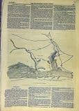 1853 PLAN MAP BATTLE OLTENITZA RUSSIA TURKEY WAR PRINT