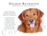 Golden Retriever Human Trainer Mouse Pad Dog Mousepad