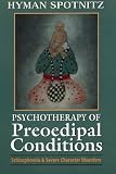 Psychotherapy of Preoedipal Conditions: Schizophrenia and Severe Character Disorders