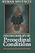 Psychotherapy of Preoedipal Conditions: Schizophrenia and Severe Character Disorders