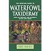 The Complete Guide to Waterfowl Taxidermy: How to Prepare and Preserve Ducks and Geese