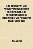 Sap Netweaver: Sap Netweaver Development Infrastructure, Sap Netweaver Business Intelligence, Sap Netweaver Visual Composer