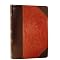 Spirit Filled Bibles