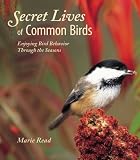  : Secret Lives of Common Birds: Enjoying Bird Behavior Through the Seasons
