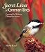 Secret Lives of Common Birds: Enjoying Bird Behavior Through the Seasons