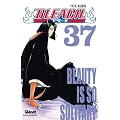 Bleach, Tome 37 :