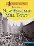 Life in a New England Mill Town (Picture the Past)