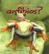 Que Son Los Anfibios? / What is an Amphibian? (La Ciencia De Los Seres Vivos/Science of Living Things (Spanish))