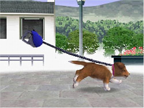 nintendogs 柴&フレンズ