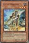 Yugioh TDGS-EN005 Shield Warrior Rare Card [Toy]