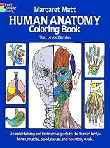 Human Anatomy Colouring Book