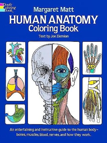 City Travel Guides Discounted  Books : Human Anatomy Colouring Book