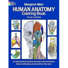 Human Anatomy Colouring Book