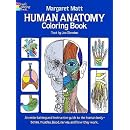 Human Anatomy Colouring Book