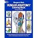 Human Anatomy Colouring Book