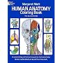 Human Anatomy Colouring Book