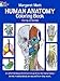 Human Anatomy Coloring Book (Colouring Books) by Margaret Matt ISBN 0486241386