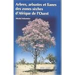Arbres arbustes