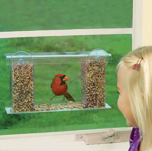 Best Awesome Window Bird Feeders With Suction Cups On Flipboard By