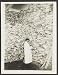 Stockpile,pork,food supply,storage buildings,supplies,West Berlin,1961