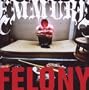 Felony