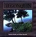 Algonquin
