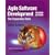 Agile Software Development: The Cooperative Game