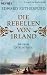 Die Rebellen von Irland (The Dublin Saga, #2)
