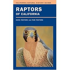 Raptors of California (California Natural History Guides)
