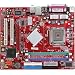 PC Hardware : MSI Motherboard for P4 LGA775 865G u-ATX (865GM3-V)