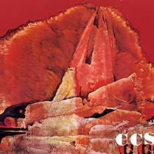 CCS
