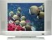 Syntax Olevia LT20S 20-Inch Flat-Panel LCD TV