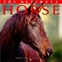 Ultimate Horse