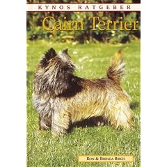 Cairn Terrier