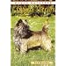 Cairn Terrier