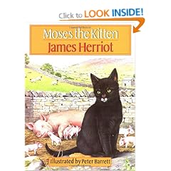 Moses the Kitten