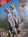 Meerkats United & The Impossible Bird (1987) (BBC Wildlife Specials)
