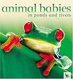 Animal Babies In Ponds And Rivers