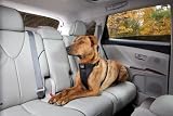 Kurgo Tru-fit Dog Harness, X-Large (for Dogs over 80 Pounds), Black