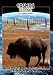 Cosmos Global Documentaries  TATANKA [Edizione: Germania]