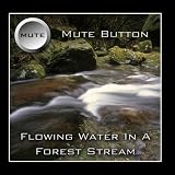 Flowing Water In A Forest Stream