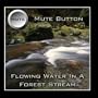 Flowing Water In A Forest Stream