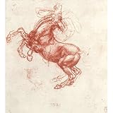 Leonardo da Vinci (Study of a rebel horse) Art Poster Print - 13x19