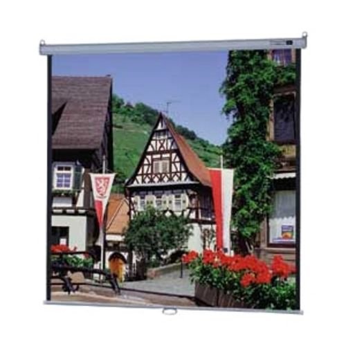 120IN Model B Manual Pull Down Screen Matte White 4X3